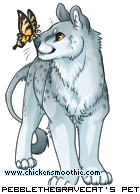 CS Pet