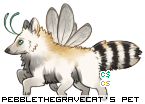CS Pet