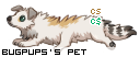 CS Pet
